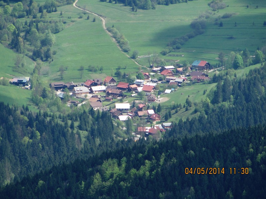 img00135.jpg