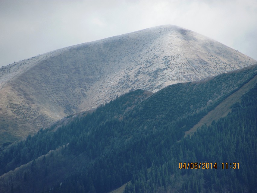 img00136.jpg