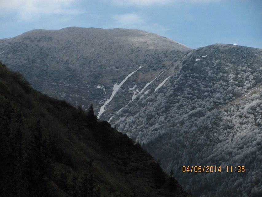 img00137.jpg