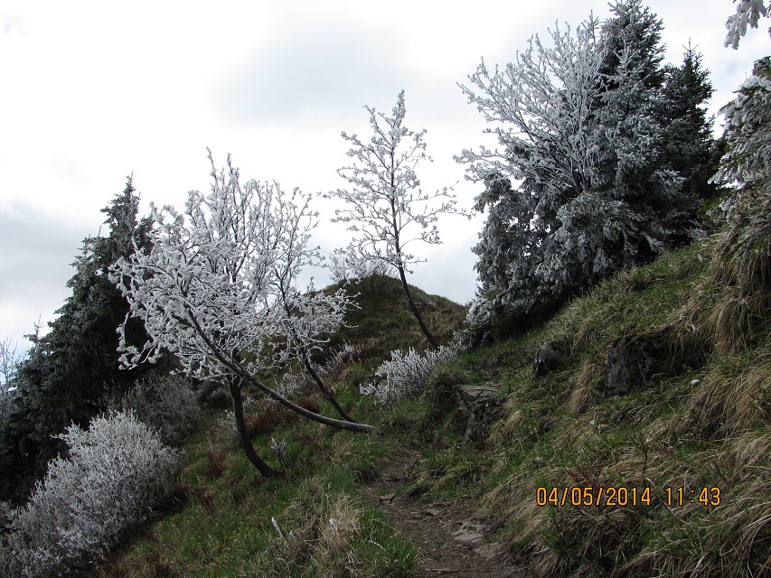 img00139.jpg