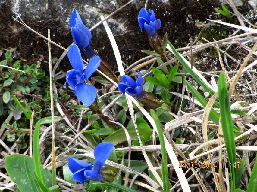 img00140.jpg
