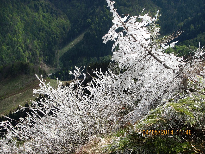 img00141.jpg