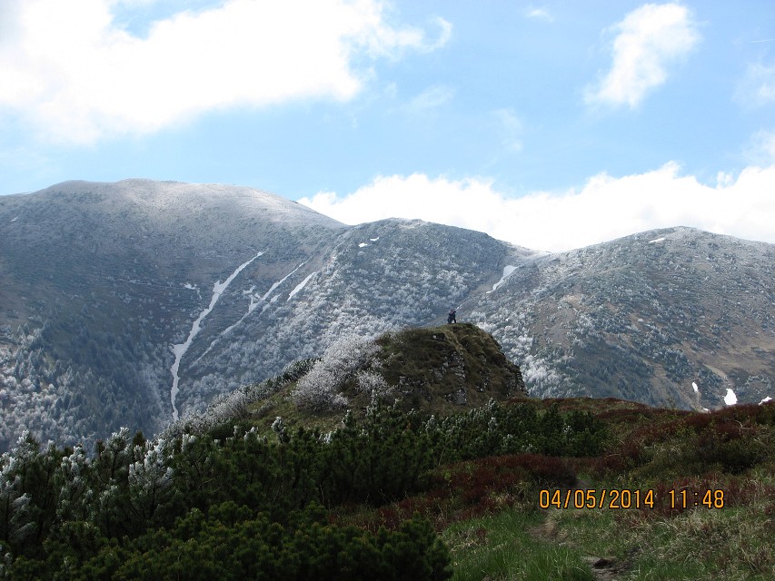 img00142.jpg
