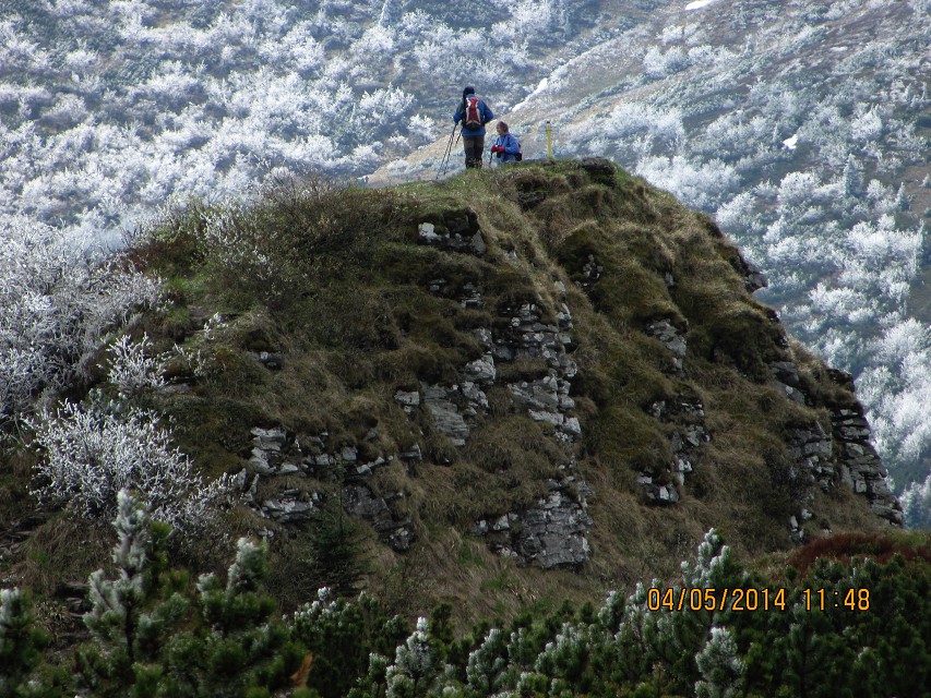 img00143.jpg