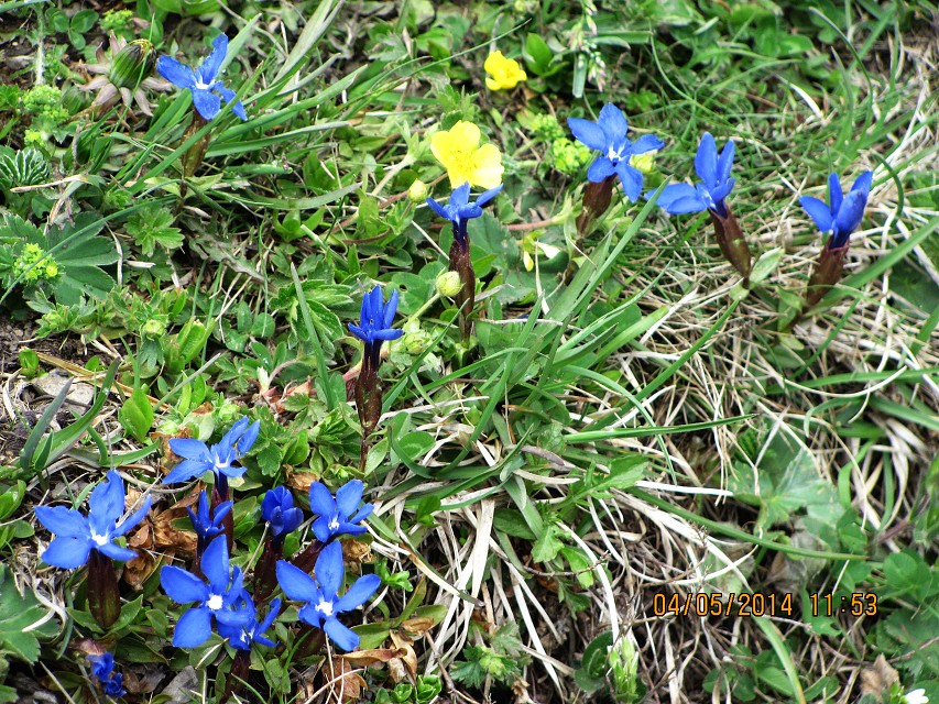 img00144.jpg