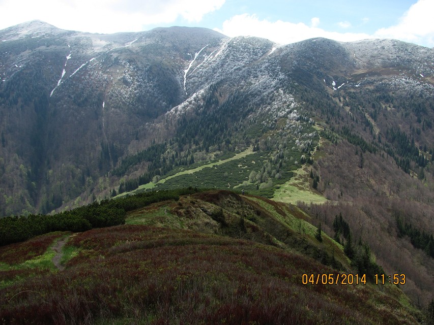 img00145.jpg