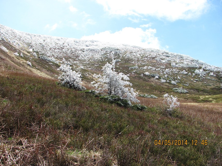 img00149.jpg