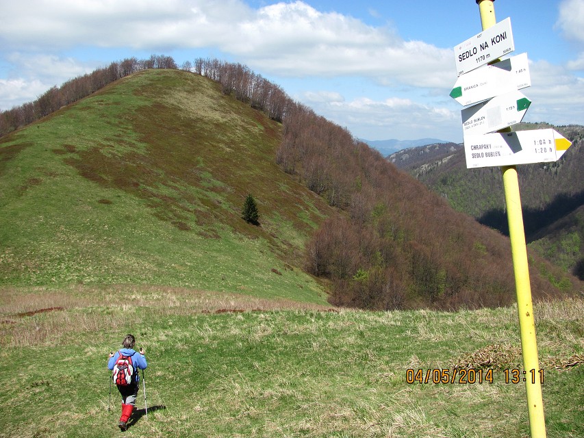 img00157.jpg