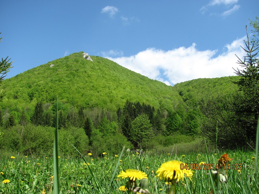 img00162.jpg