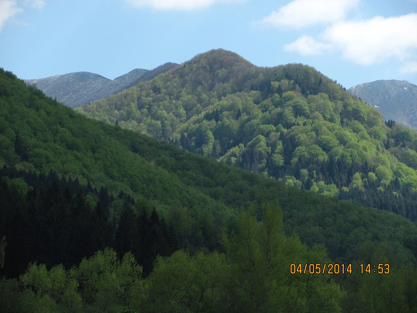 img00167.jpg