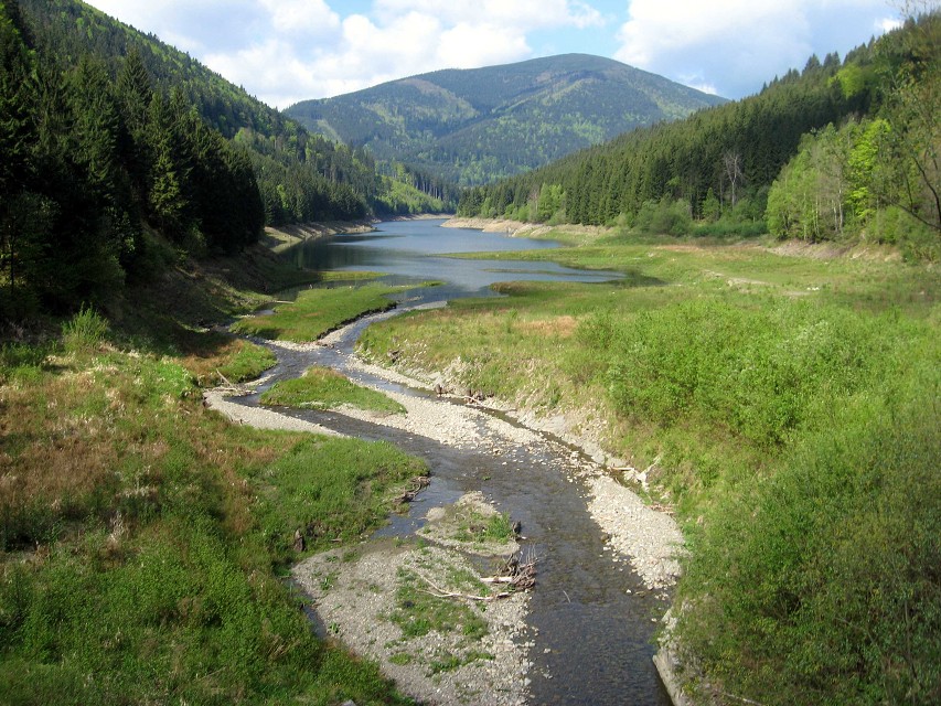 img00007.jpg