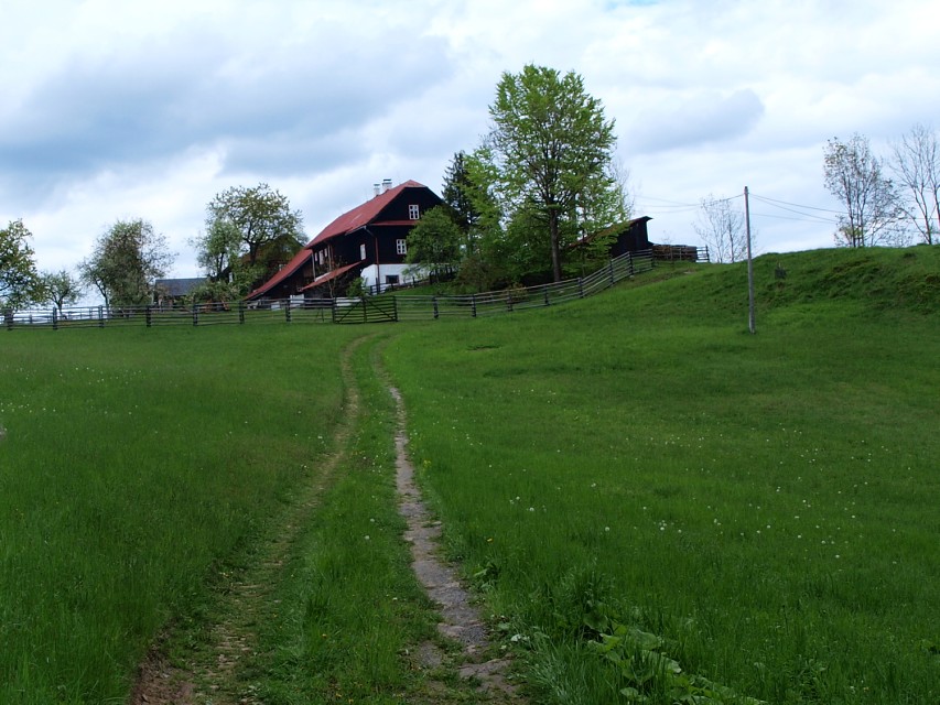 img00021.jpg