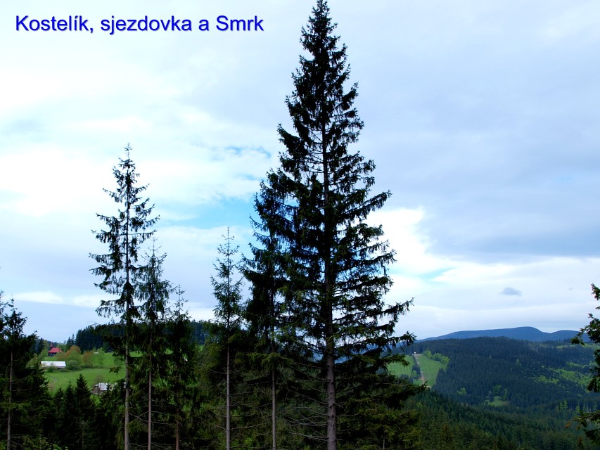 img00027.jpg
