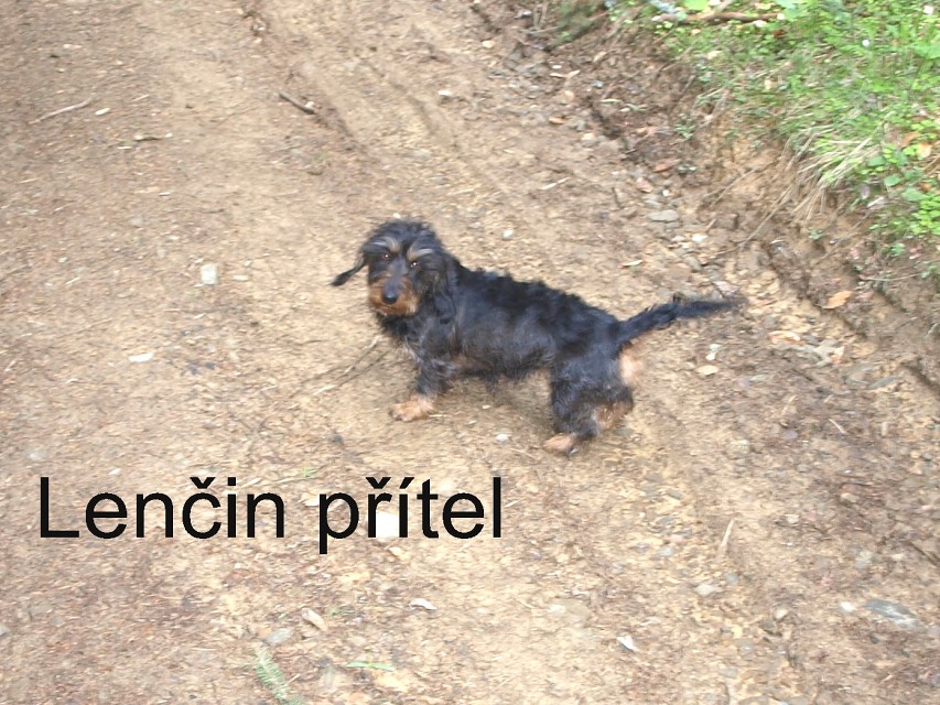 img00029.jpg