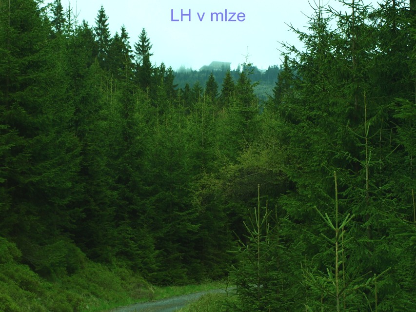 img00032.jpg
