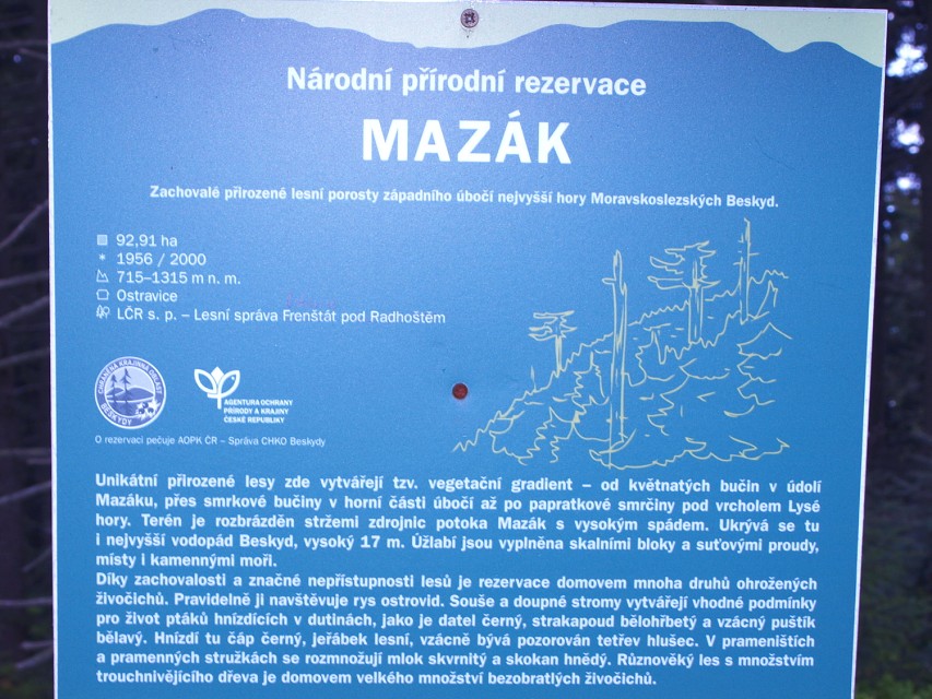 img00033.jpg