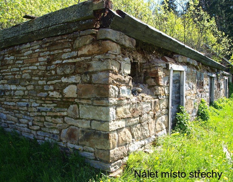 img00042.jpg