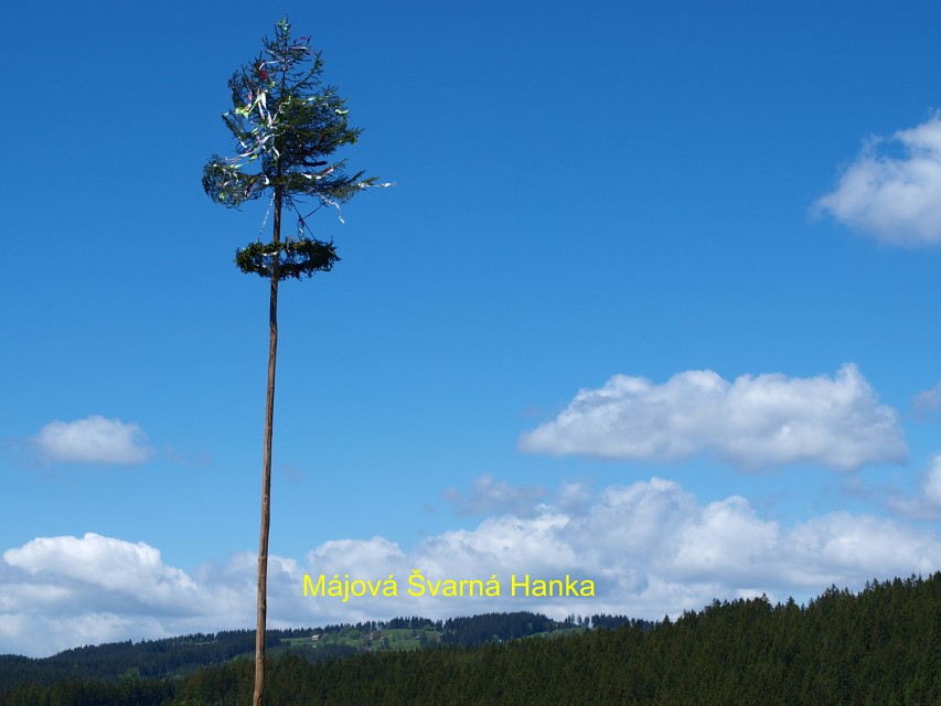 img00047.jpg