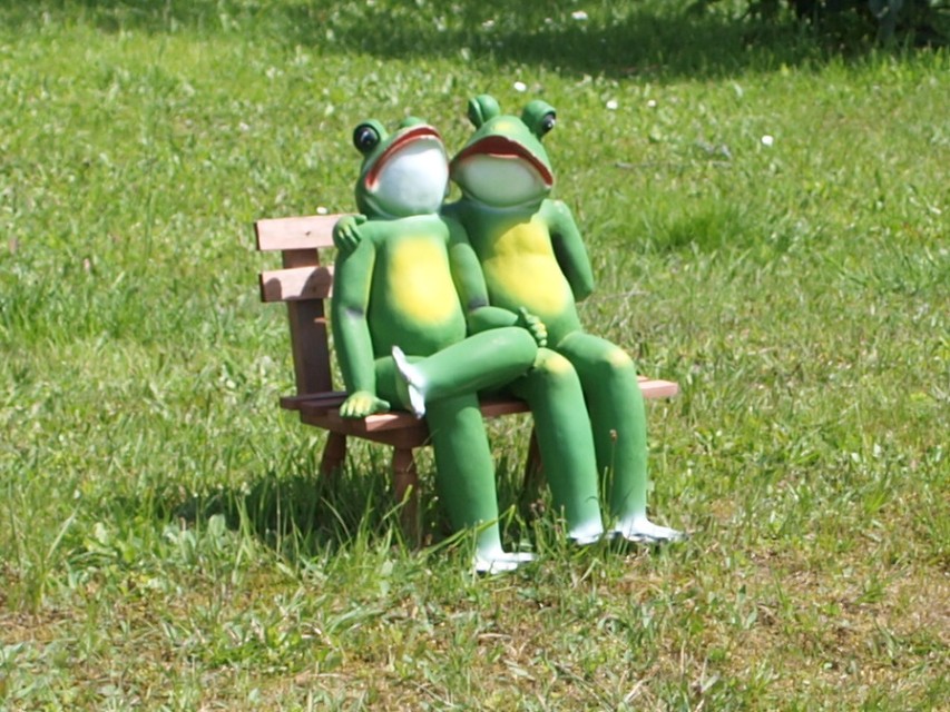 img00048.jpg