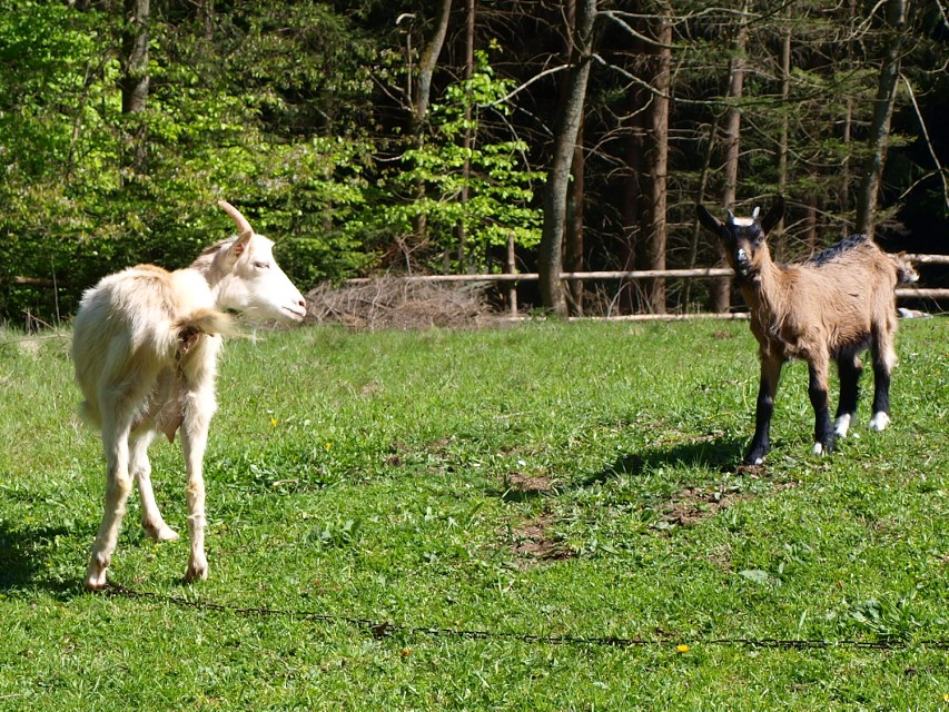 img00054.jpg