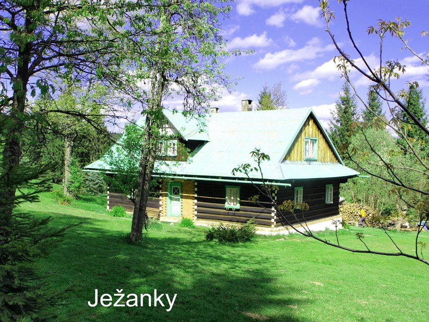 img00058.jpg
