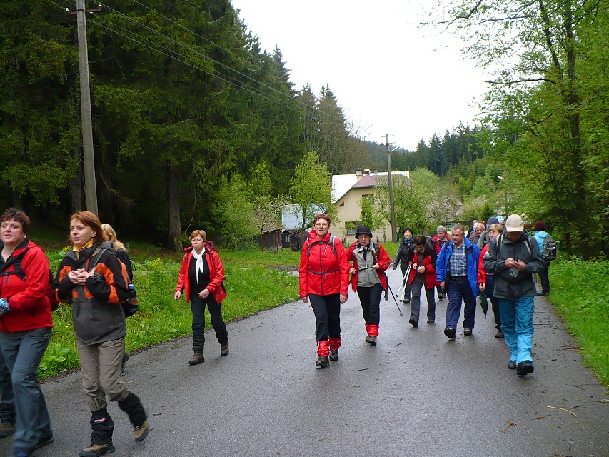 img00015.jpg