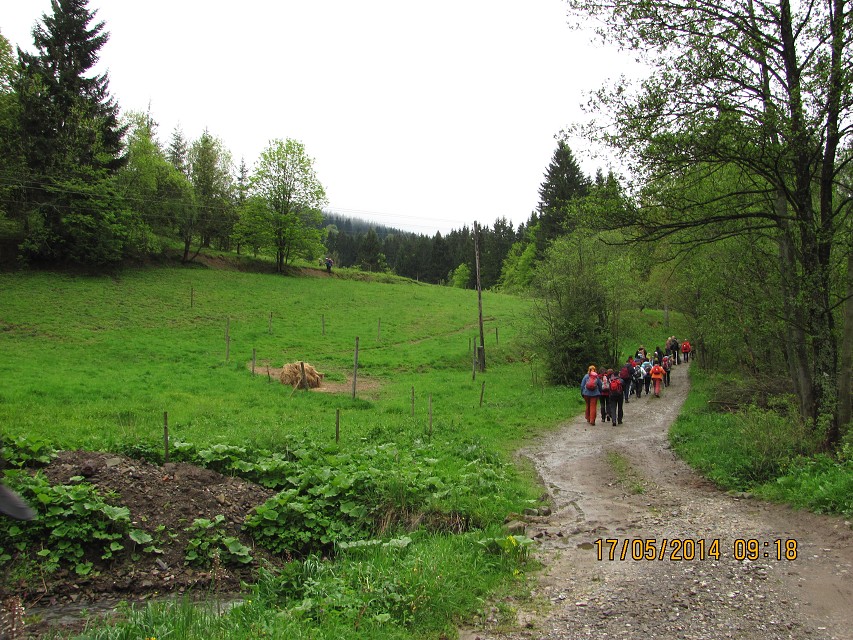img00016.jpg