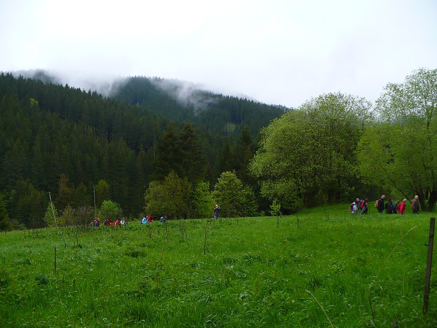 img00017.jpg