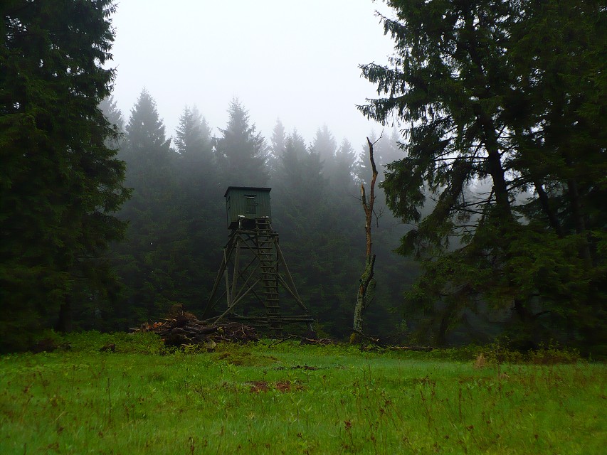 img00019.jpg