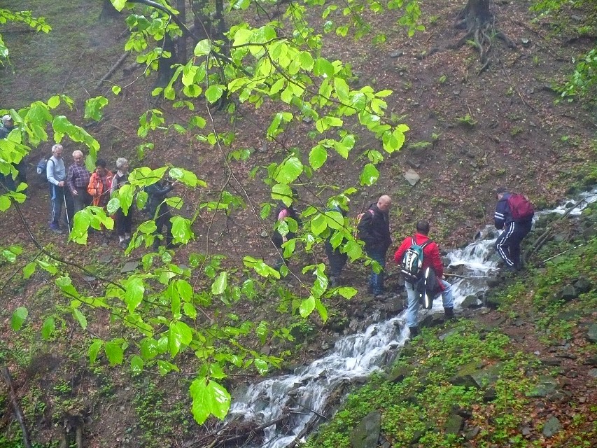 img00022.jpg