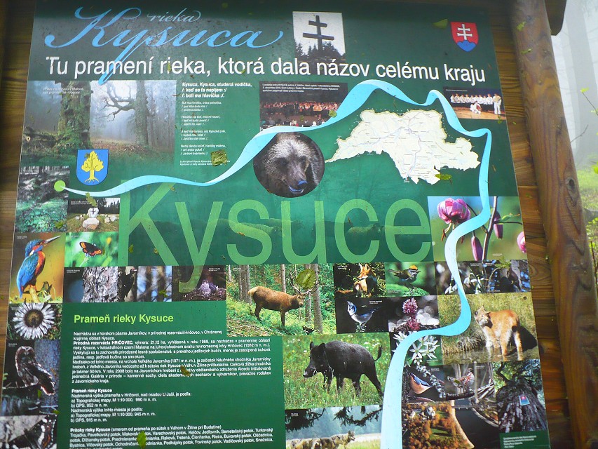 img00028.jpg