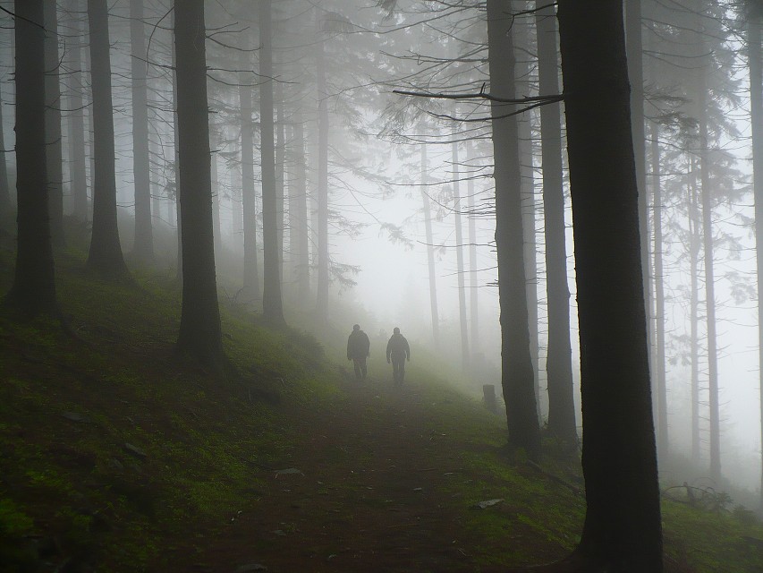 img00033.jpg