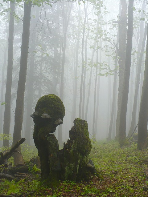 img00038.jpg