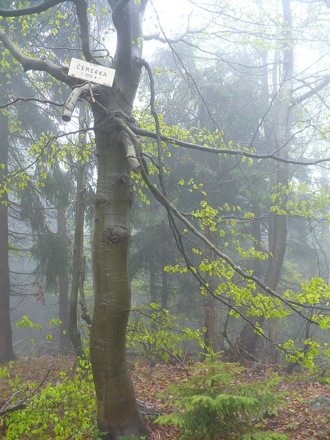 img00039.jpg