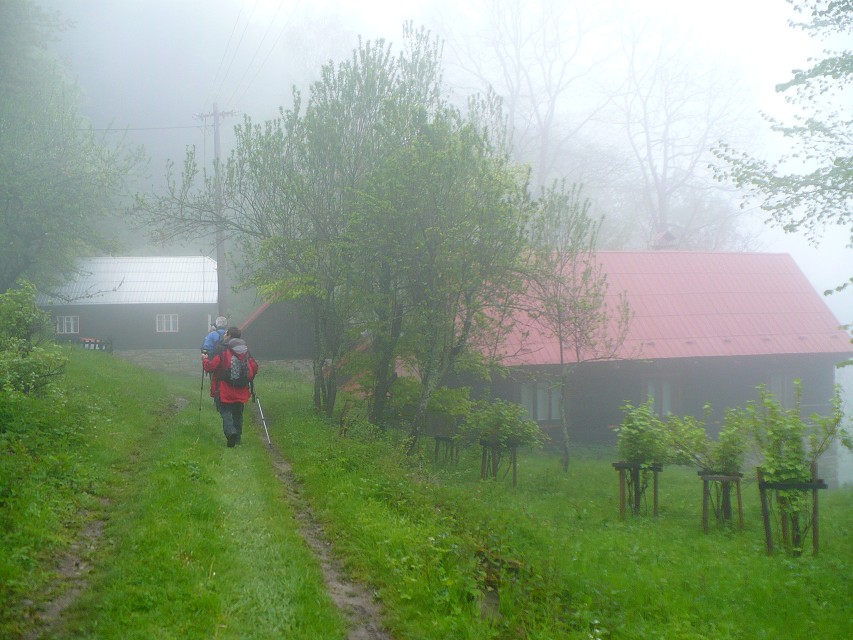 img00053.jpg