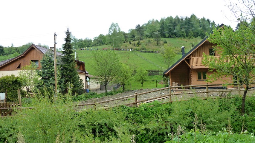 img00058.jpg