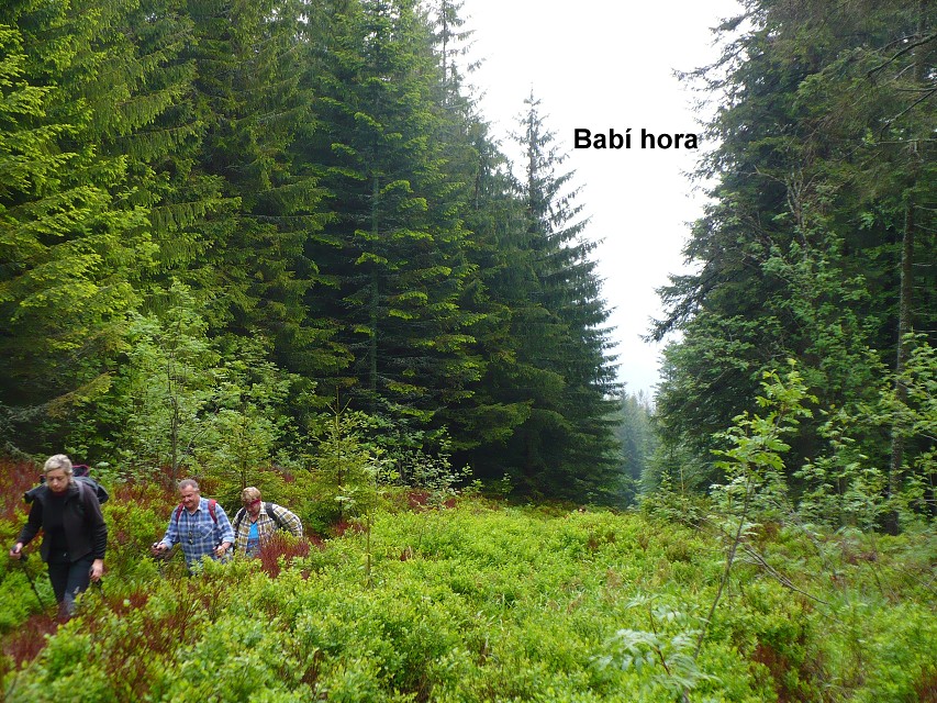 img00005.jpg