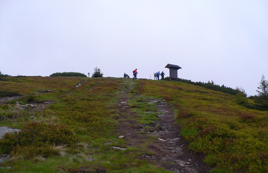 img00013.jpg