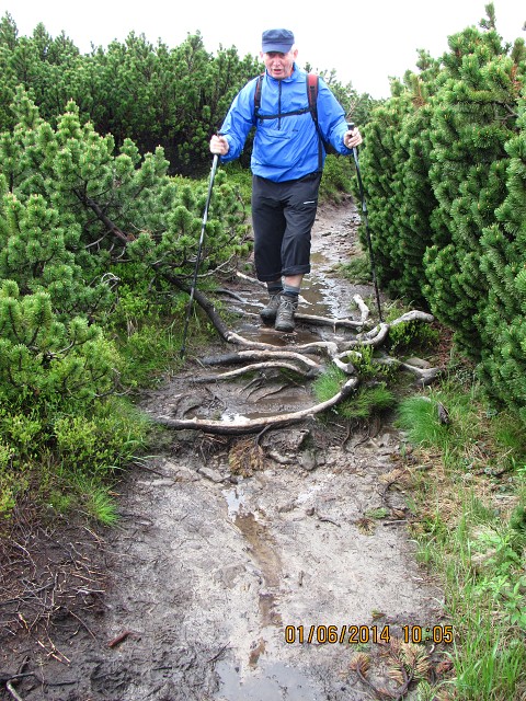 img00019.jpg