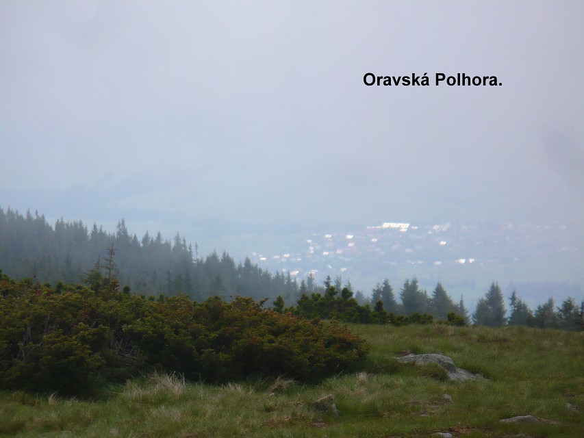 img00025.jpg