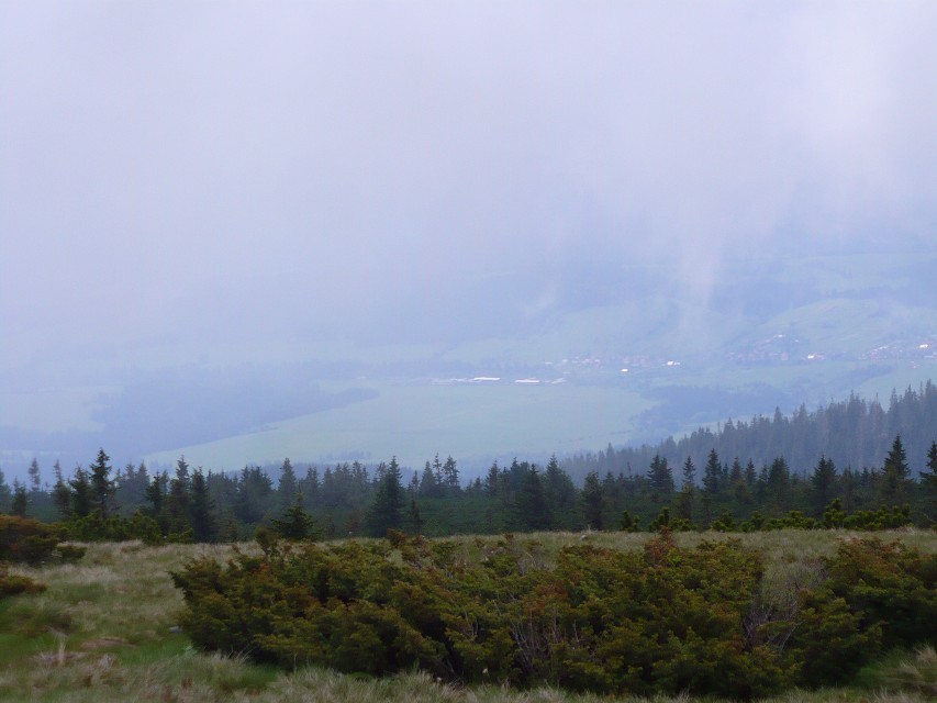 img00026.jpg
