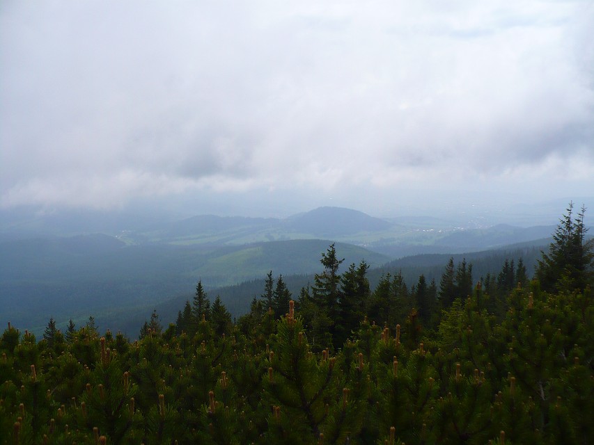 img00030.jpg