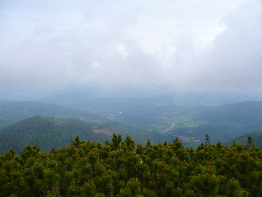 img00031.jpg