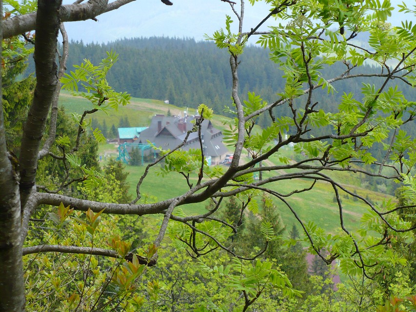 img00033.jpg
