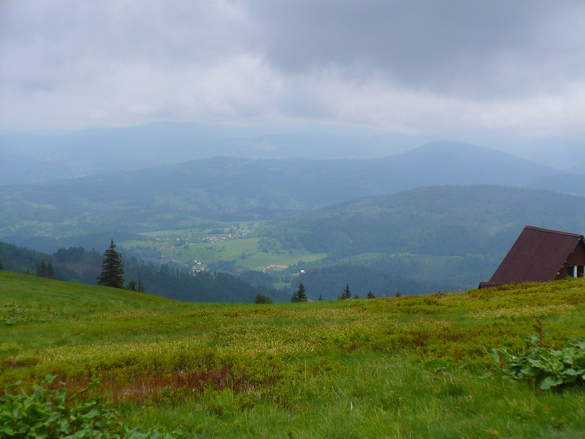 img00035.jpg