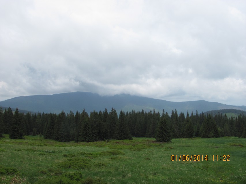 img00040.jpg