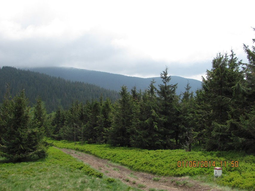 img00041.jpg
