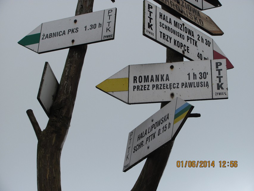 img00049.jpg