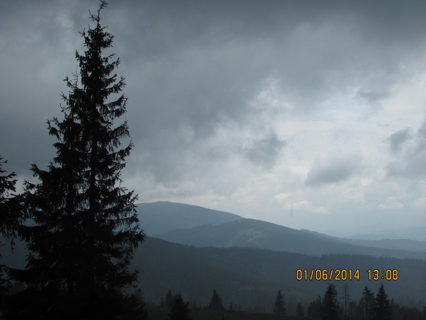 img00050.jpg