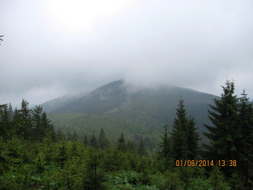 img00051.jpg